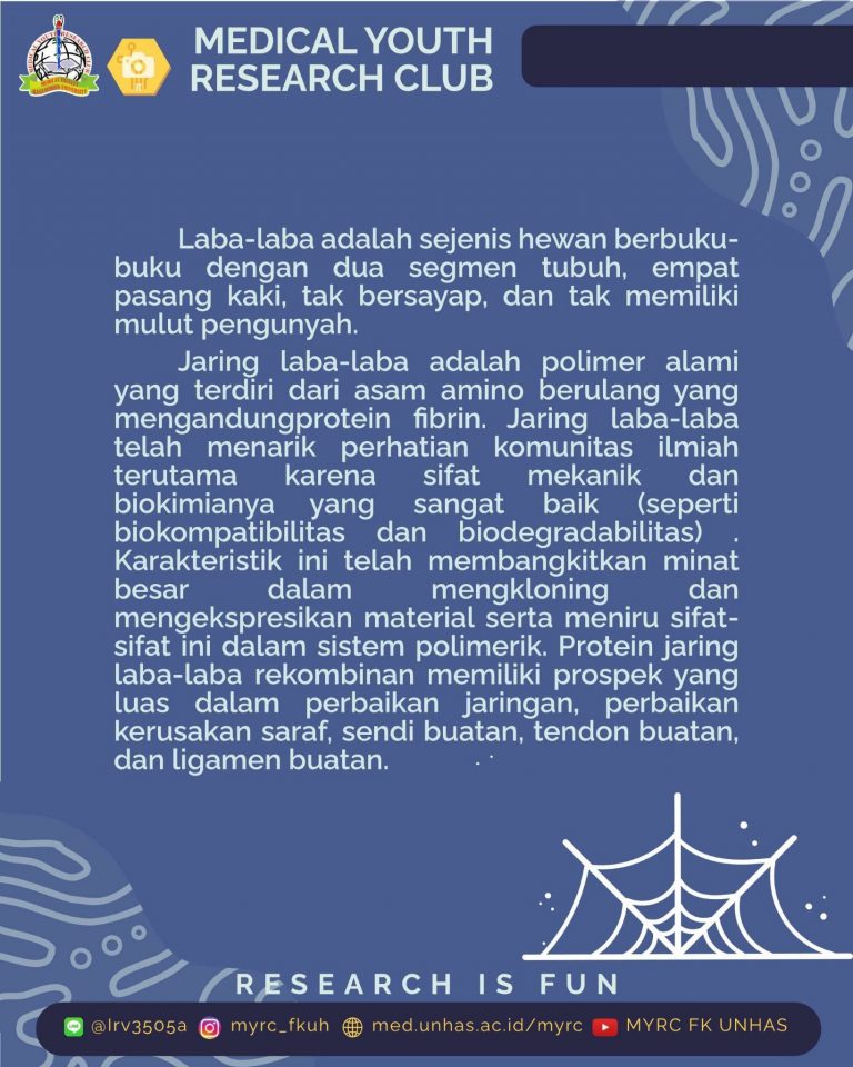 dyk_jaring laba (3)