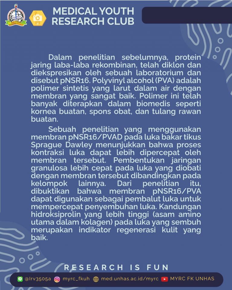 dyk_jaring laba (4)