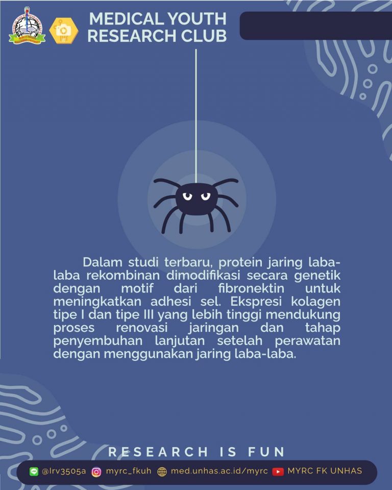 dyk_jaring laba (5)